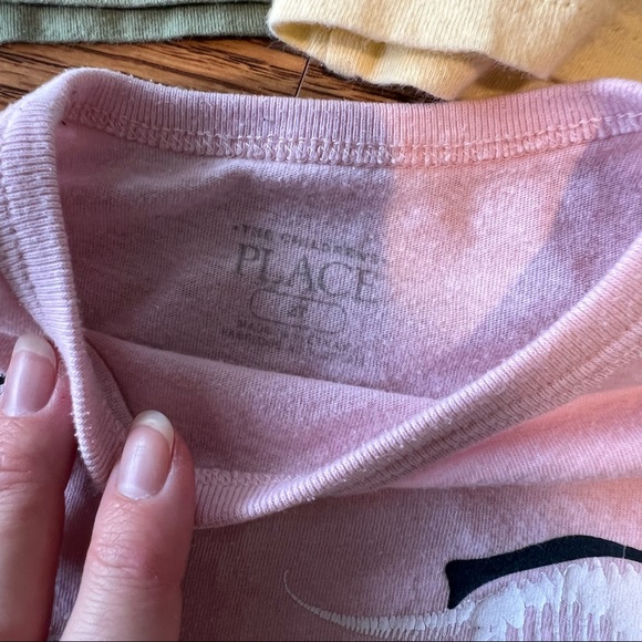 2T Toddler Dinosaur T-shirt Bundle - Picture 9 of 12